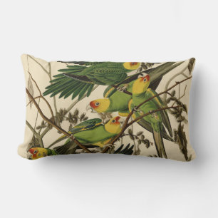 Audubon Carolina Parrot Bird Illustration Lendenkissen