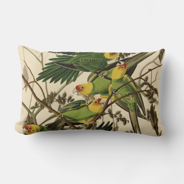 Audubon Carolina Parrot Bird Illustration Lendenkissen (Vorderseite)