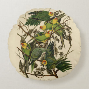 Audubon Carolina Parrot Bird Illustration Rundes Kissen