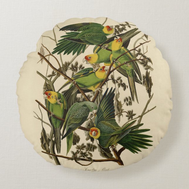 Audubon Carolina Parrot Bird Illustration Rundes Kissen (Vorderseite)