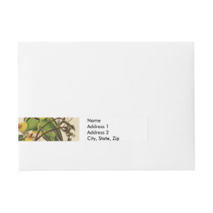 Audubon Carolina Parrot Bird Illustration Rundum-Adressaufkleber