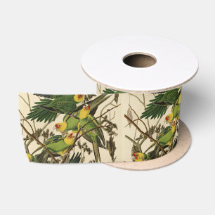 Audubon Carolina Parrot Bird Illustration Satinband