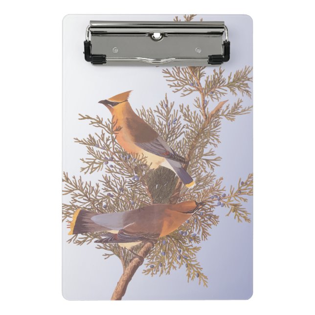 Audubon Cedar Waxwing Bird auf Evergreen Junior Mini Klemmbrett (Vorderseite)