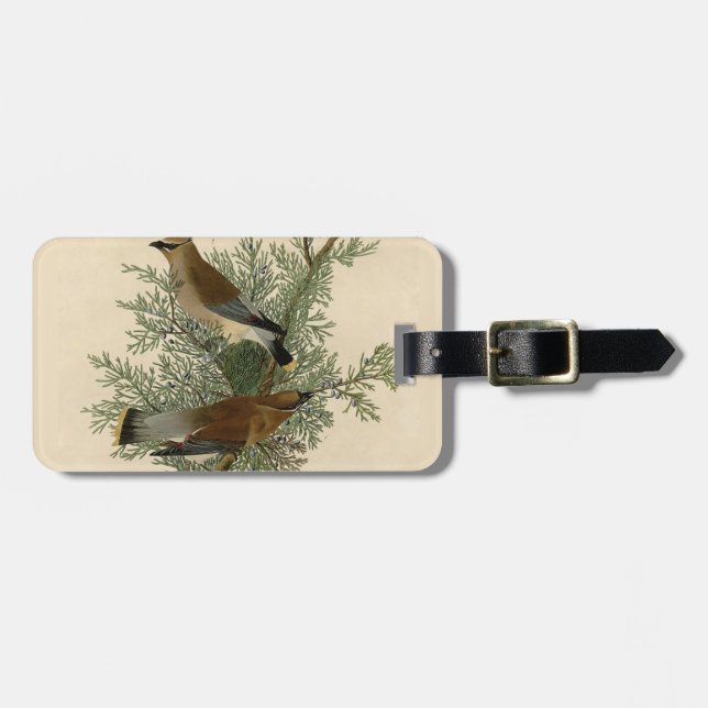 Audubon Cedar Waxwing Bird Gepäckanhänger (Vorderseite horizontal)