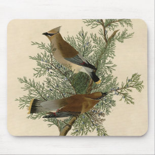 Audubon Cedar Waxwing Bird Mousepad