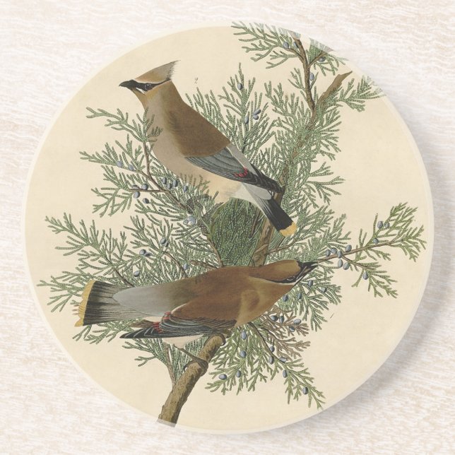 Audubon Cedar Waxwing Getränkeuntersetzer (Vorne)