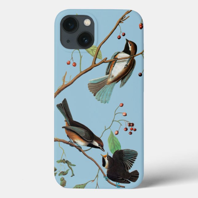 Audubon: Chickadee Case-Mate iPhone Hülle (Rückseite)