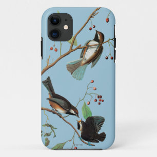 Audubon: Chickadee Case-Mate iPhone Hülle