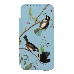Audubon: Chickadee Incipio Watson™ iPhone 5 Geldbörsen Hülle