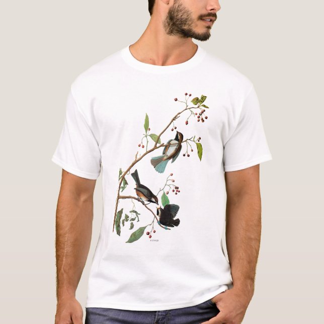 Audubon: Chickadee T-Shirt (Vorderseite)