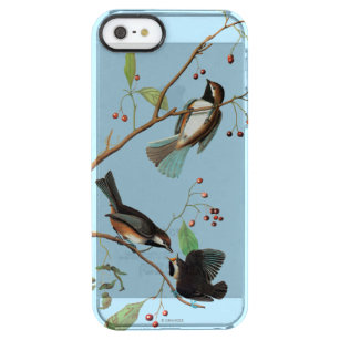 Audubon: Chickadee Durchsichtige iPhone SE/5/5s Hülle