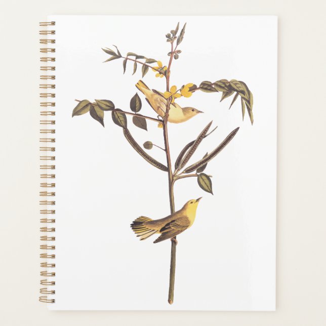 Audubon Children's Warbler Songbird Planer (Vorderseite)