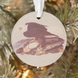 Audubon Classic Bald Eagle mit frischem Fisch Ornament