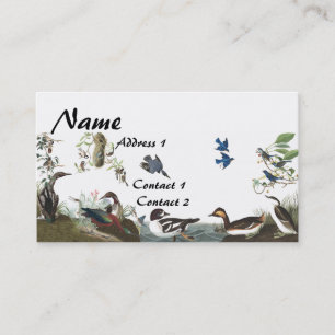 Audubon Collagen-Vogel-Tier-Visitenkarte Visitenkarte
