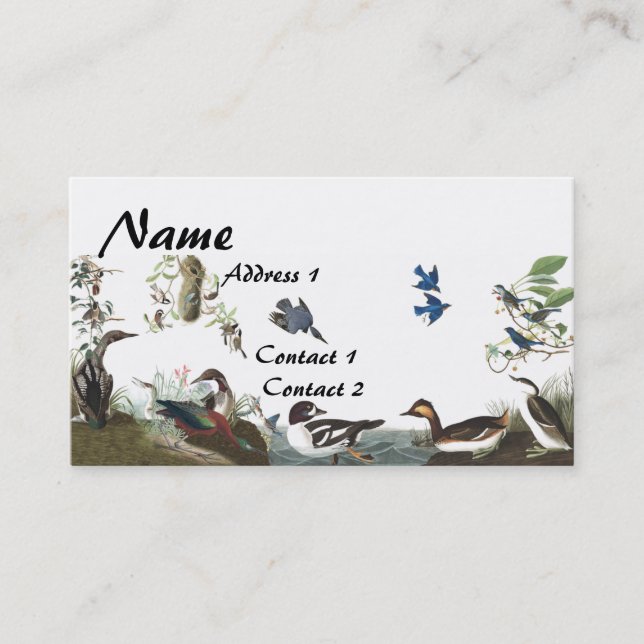 Audubon Collagen-Vogel-Tier-Visitenkarte Visitenkarte (Vorderseite)