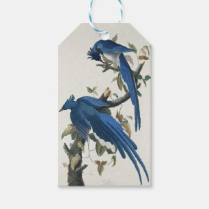 Audubon Columbia Jay Black Throated Magpie Jay Geschenkanhänger