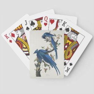 Audubon Columbia Jay Schwarzkopf Elsterjay Spielkarten