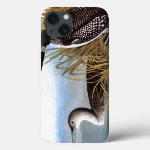 Audubon: Common Loon Case-Mate iPhone Hülle