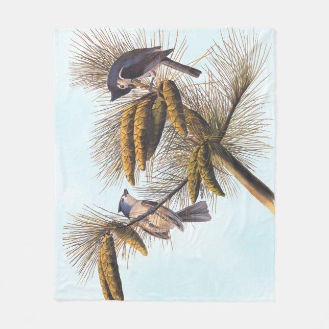 Audubon Crested Titmouse Birds in Pine Tree Fleecedecke (Vorderseite)