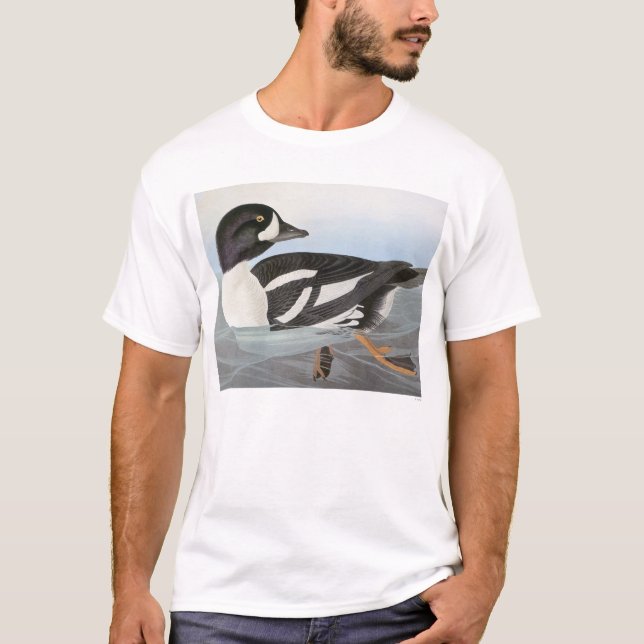 Audubon: Der Goldeneye des Karrens T-Shirt (Vorderseite)