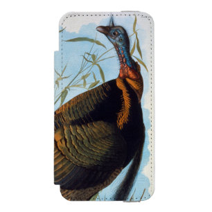 Audubon: Die wilde Türkei Incipio Watson™ iPhone 5 Geldbörsen Hülle
