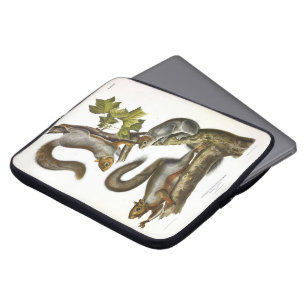 Audubon (Eastern Gray Eichhörnchen) Laptopschutzhülle