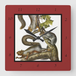 Audubon (Eastern Gray Eichhörnchen) Quadratische Wanduhr