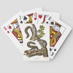 Audubon (Eastern Gray Eichhörnchen) Spielkarten