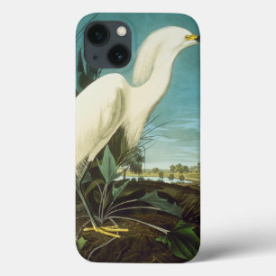 Audubon: Egret title_seo2