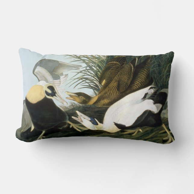 Audubon: Eiderenten-Ente Lendenkissen (Vorderseite)