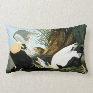 Audubon: Eiderenten-Ente Lendenkissen