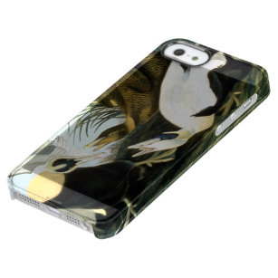 Audubon: Eiderenten-Ente Durchsichtige iPhone SE/5/5s Hülle