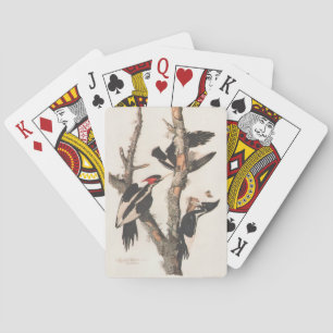 Audubon Elfenbeinspecht Spielkarten