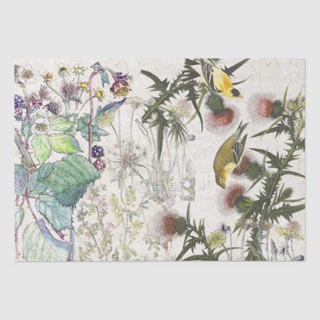 Audubon Fink-Vogel-Wildblumen-Seidenpapier Seidenpapier (Vorderseite)