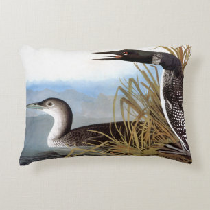 Audubon: Gemeiner Loon Dekokissen