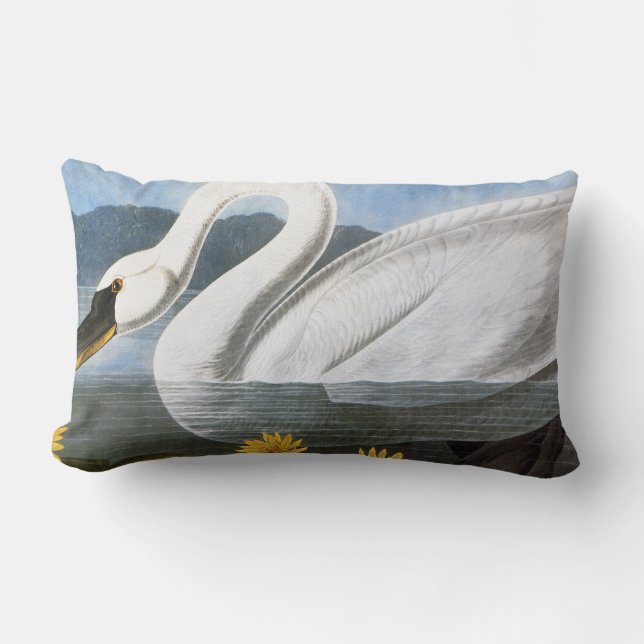 Audubon: Gemeiner Schwan Lendenkissen (Vorderseite)