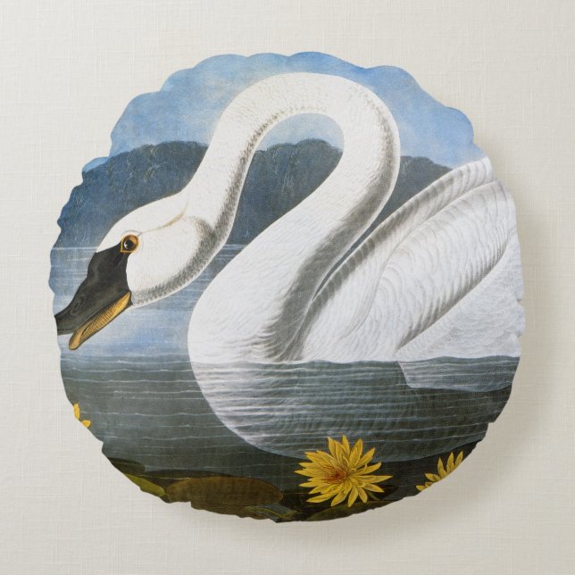 Audubon: Gemeiner Schwan Rundes Kissen (Vorderseite)