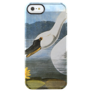 Audubon: Gemeiner Schwan Durchsichtige iPhone SE/5/5s Hülle