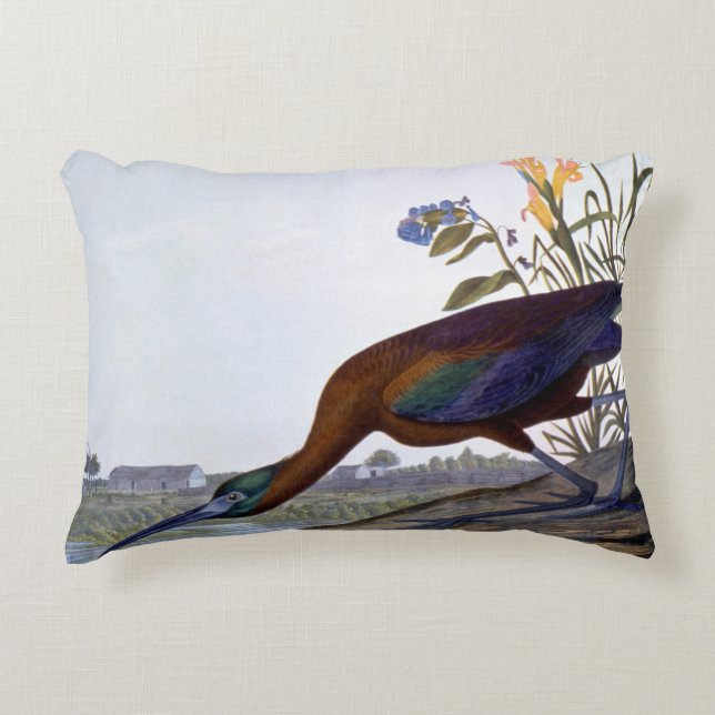 Audubon: Glattes IBIS Dekokissen (Vorderseite)