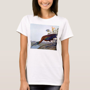 Audubon: Glattes IBIS T-Shirt