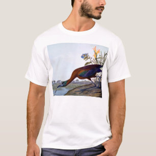 Audubon: Glattes IBIS T-Shirt