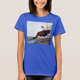 Audubon: Glossy Ibis T-Shirt