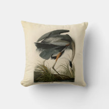 Audubon Graureiher Sumpfvogel