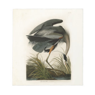 Audubon Graureiher Sumpfvogel Notizblock