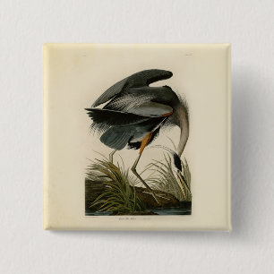 Audubon Great Blue Heron Marsh Bird Button