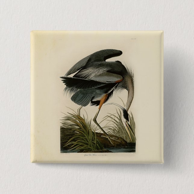 Audubon Great Blue Heron Marsh Bird Button (Vorderseite)