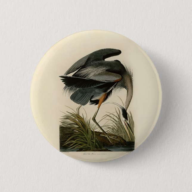 Audubon Great Blue Heron Marsh Bird Button (Vorderseite)