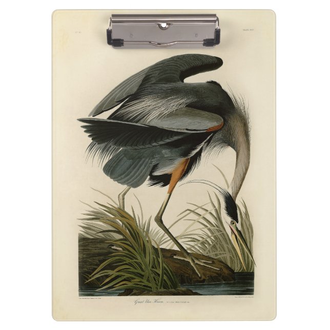 Audubon Great Blue Heron Marsh Bird Klemmbrett (Vorderseite)