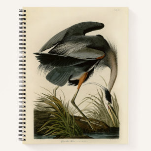 Audubon Great Blue Heron Marsh Bird Notizbuch