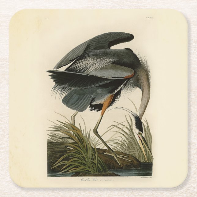 Audubon Great Blue Heron Marsh Bird Rechteckiger Pappuntersetzer (Vorderseite)